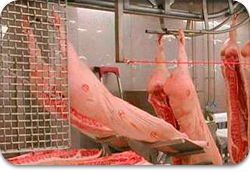 Lebensmittelindustrie